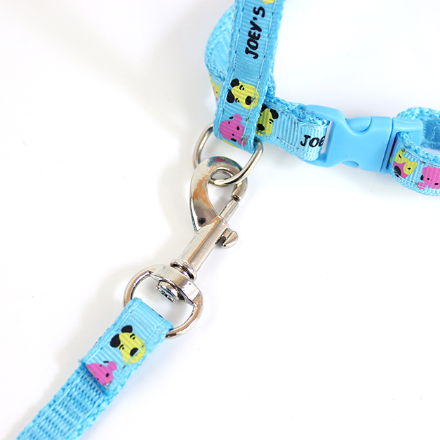 Cat Harness & Bungee Leash - MOMOPOPO