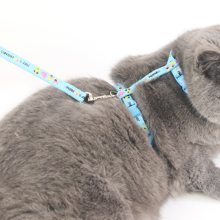 Cat Harness & Bungee Leash - MOMOPOPO