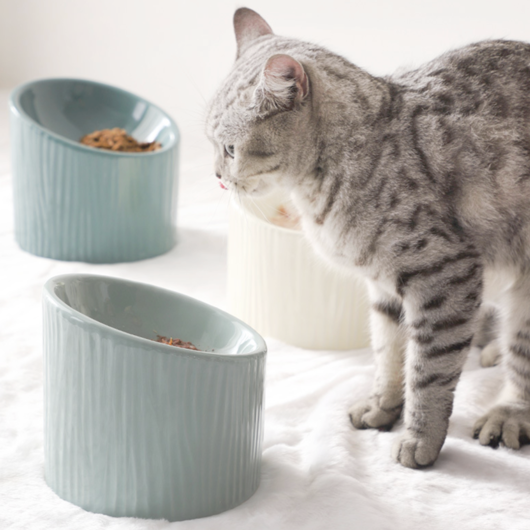 Modern Ceramic Elevated Pet Bowls - MOMOPOPO