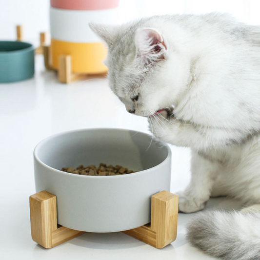 Modern Ceramic Elevated Pet Bowls - MOMOPOPO